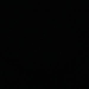 Meet your Posher, Laurie